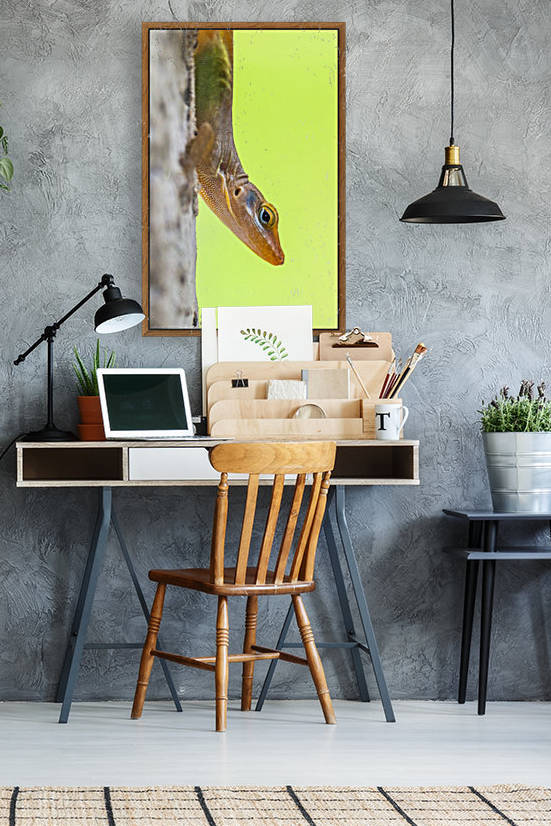 IMG_1264 by Audie Alexander