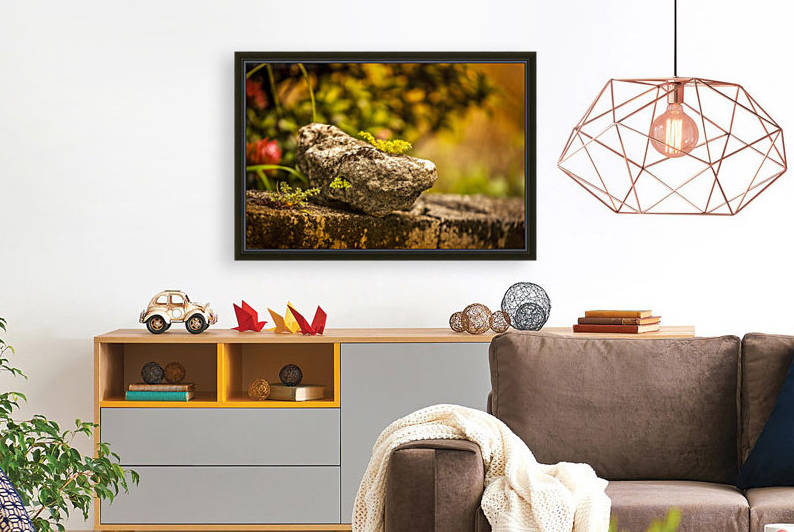 IMG_1288 by Audie Alexander