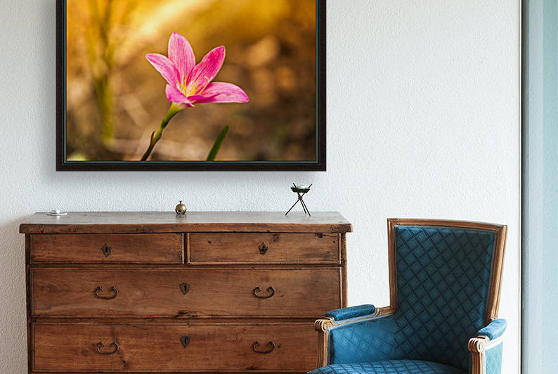 IMG_1301 by Audie Alexander