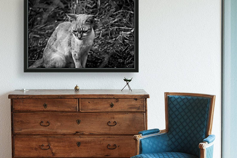 IMG_1305 by Audie Alexander