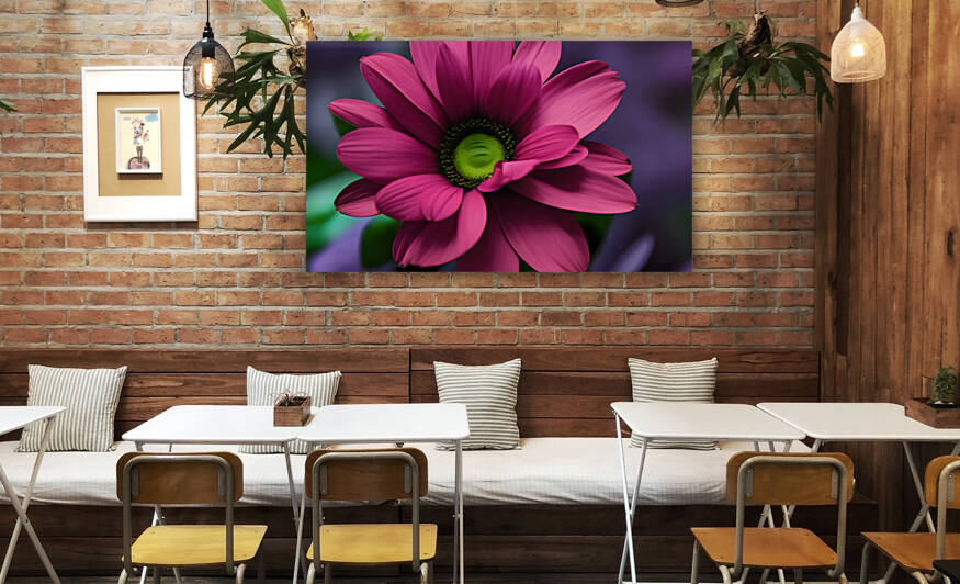 Raspberry Rose Deep Cerise Transvaal Daisy by 1of21 art