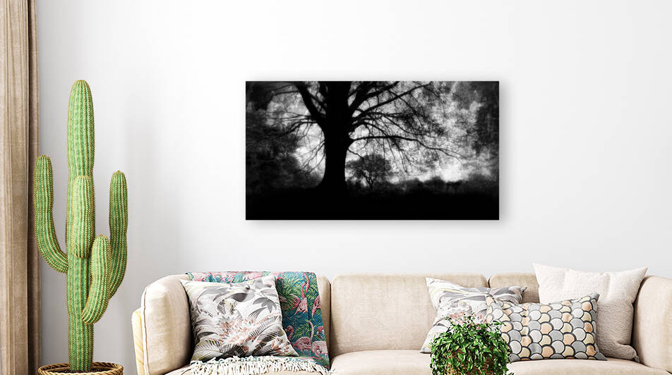 Oak Tree  B&W by Light Through Glass