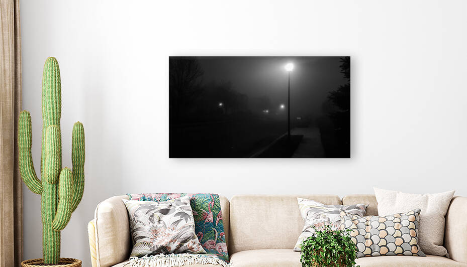 Street in Fog B&W by Light Through Glass