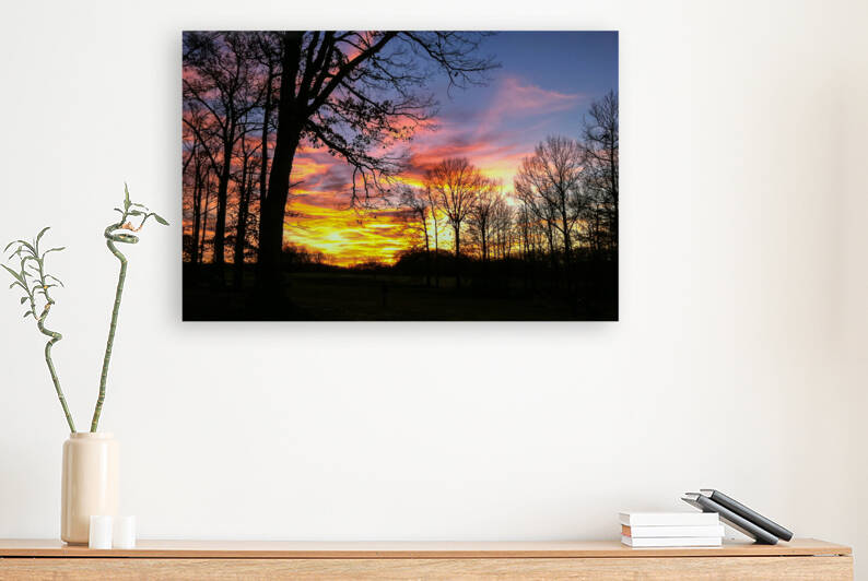 39 IMG 0251 copy by Tyler Byun