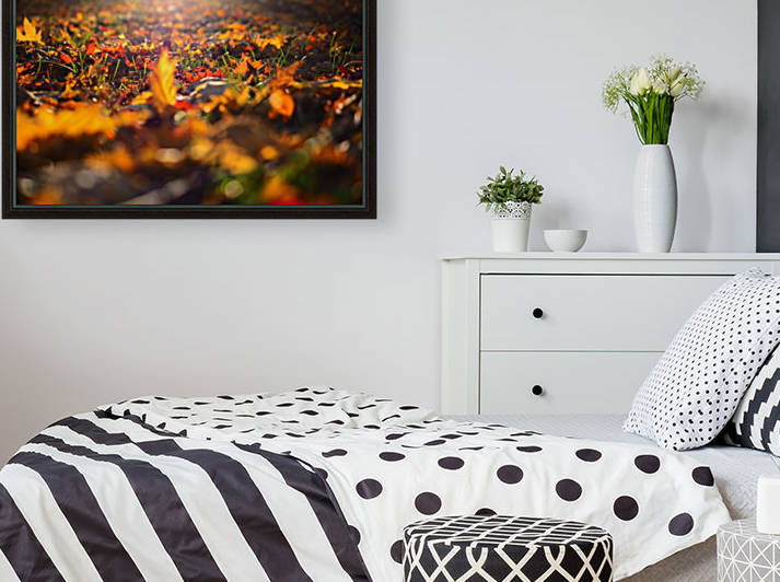 Autumn Colors by GSPhoto