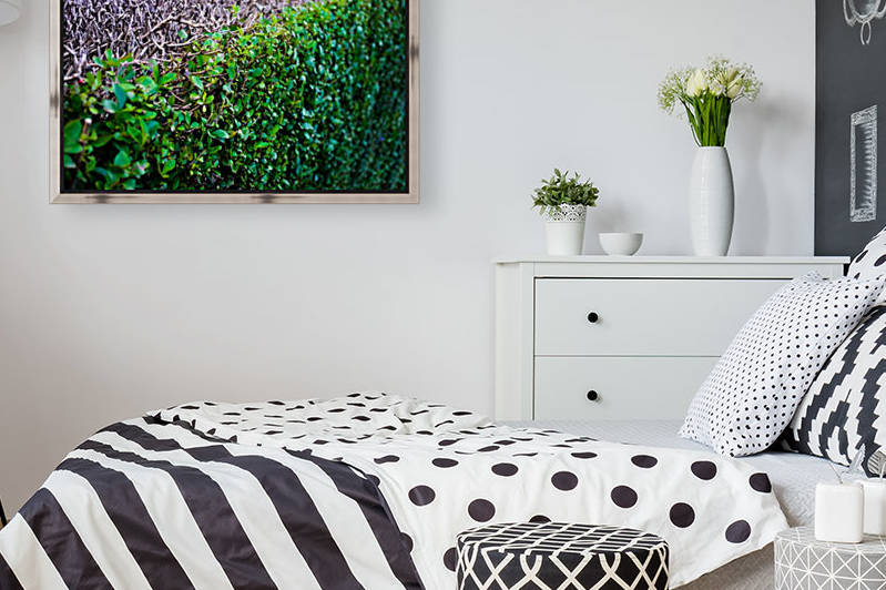 Abstract Background Bush Close Ecological Ecology by STOCK PHOTOGRAPHY