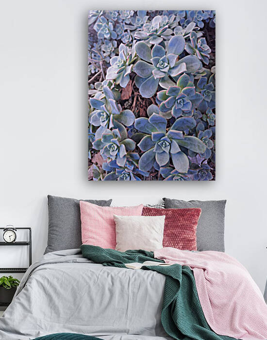 Vet Plante on a Frosty Morning by Jamey Bester