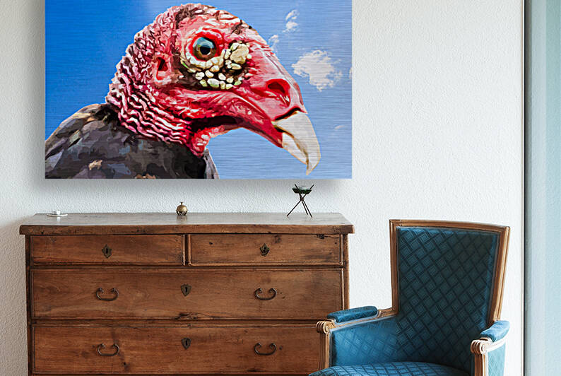 Turkey Vulture Beauty Shot by Joe Riederer