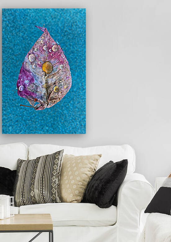 20210306 IMG 4276 by Serv Goyal