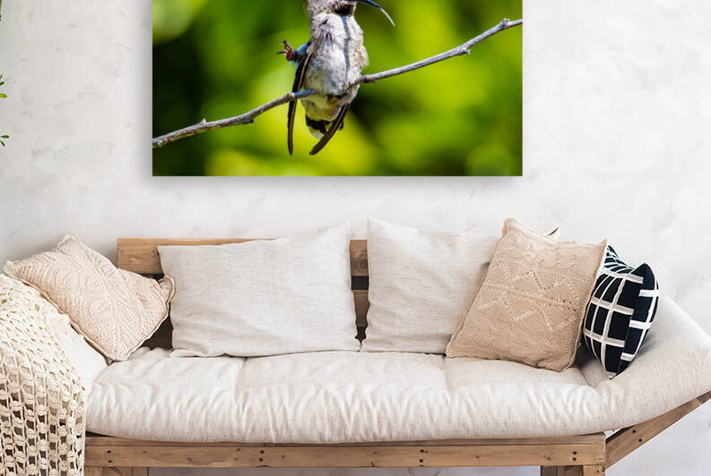 20200410 810 7068 by Serv Goyal