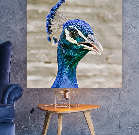 ANU 8351 by Serv Goyal