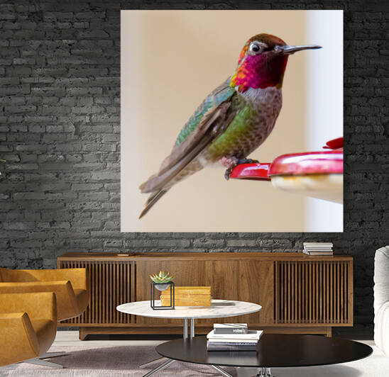 20200410 810 7053 Edit 2 by Serv Goyal