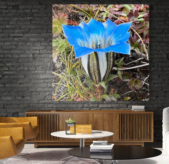 IMG 2848 jpg by Serv Goyal