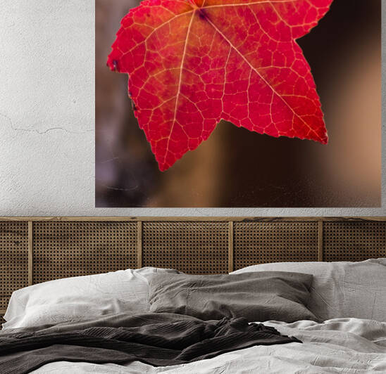 750 8802 by Serv Goyal