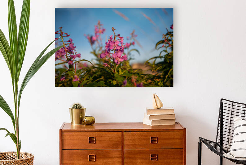 01092020 tirage isadora photo voyage côte nord  1678551943.8116 by Isadora Photo Admin