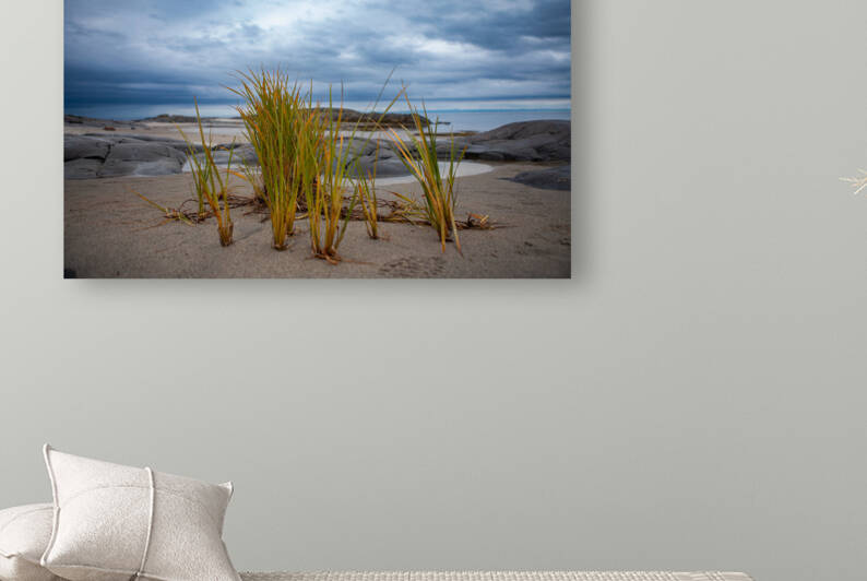 23082020 tirage isadora photo voyage côte nord. by Isadora Photo Admin