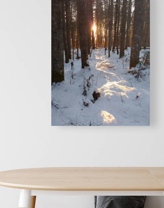 Lumiere de la foret by Lizet