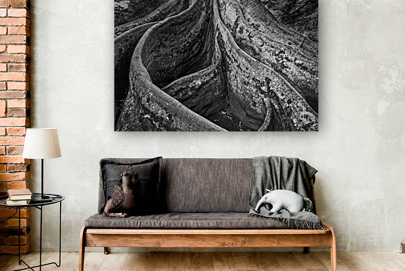 20221027 DSC 7314 Edit bw 16x24 by Phillip A Snider Photography