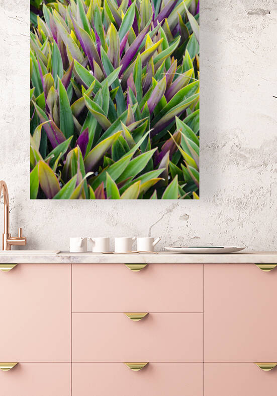  DSC9703 by Serv Goyal