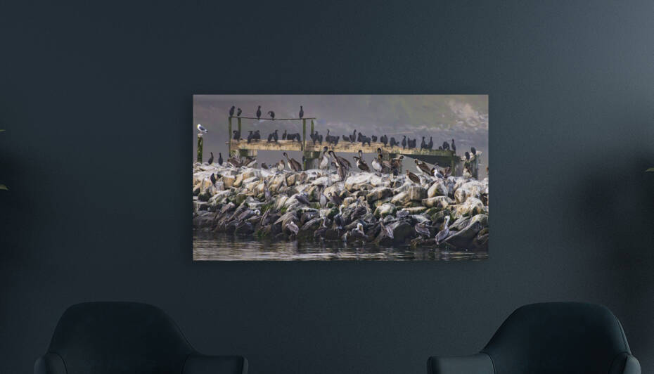 DSC 7891 by Serv Goyal