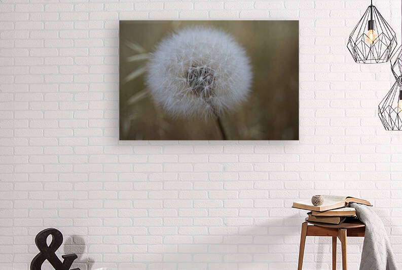 DSC 5495 by Serv Goyal