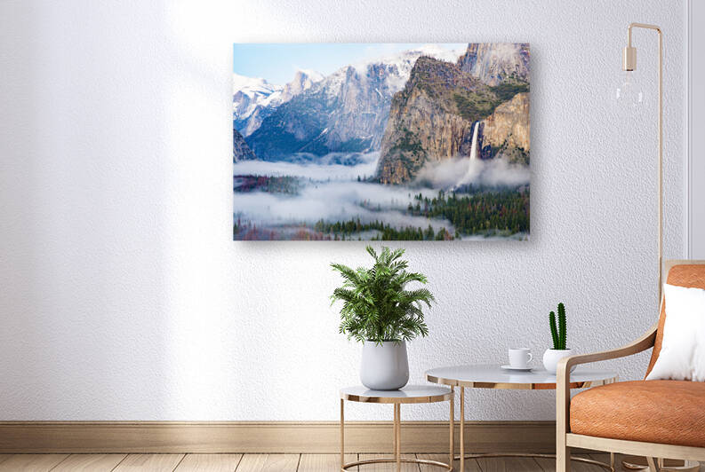 DSC 4209 by Serv Goyal