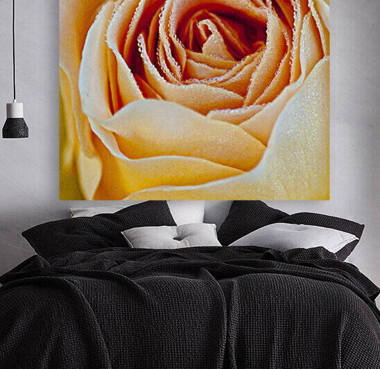  DSC9446 by Serv Goyal