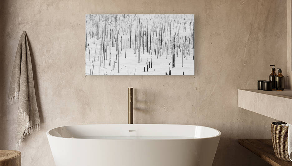  DSC1868 by Serv Goyal