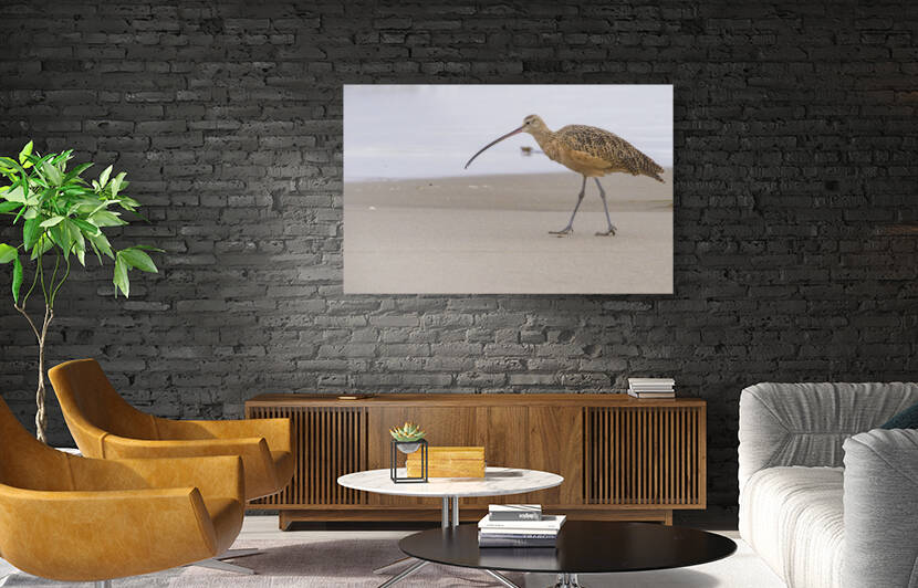 DSC 7971 by Serv Goyal