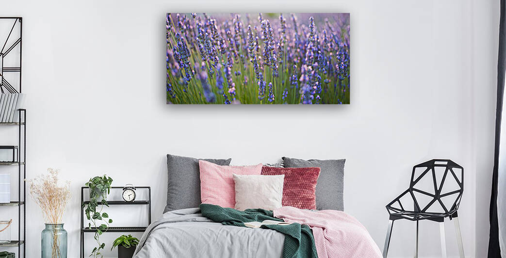 DSC 5999 by Serv Goyal