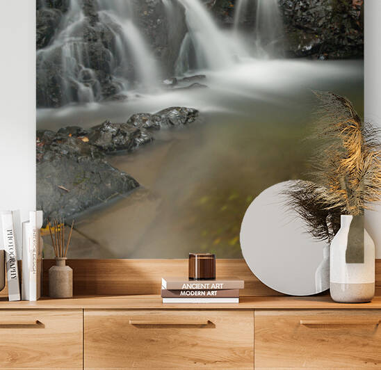  DSC1379 by Serv Goyal