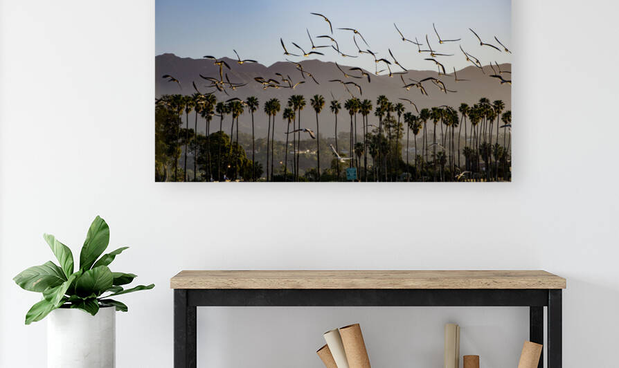  DSC1813 by Serv Goyal