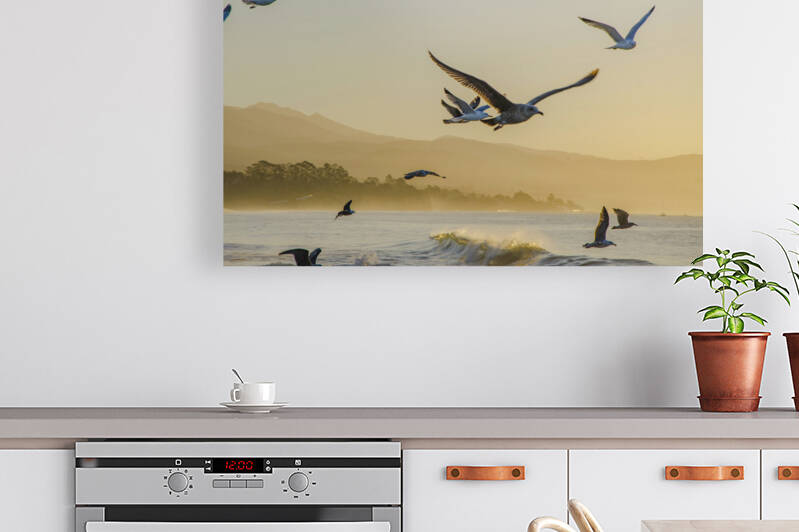  DSC1817 by Serv Goyal