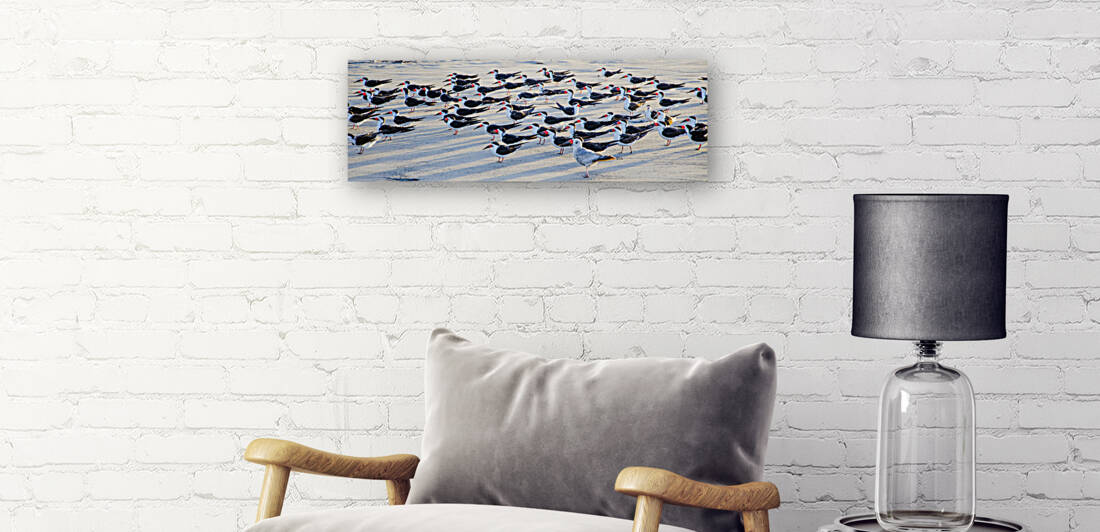  DSC1831 by Serv Goyal