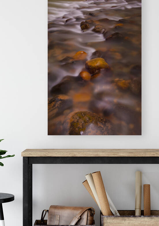  DSC8045 by Serv Goyal