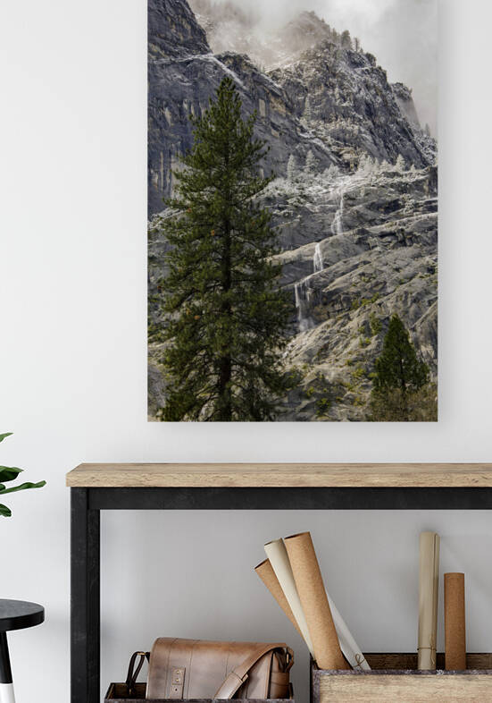  DSC6892 by Serv Goyal