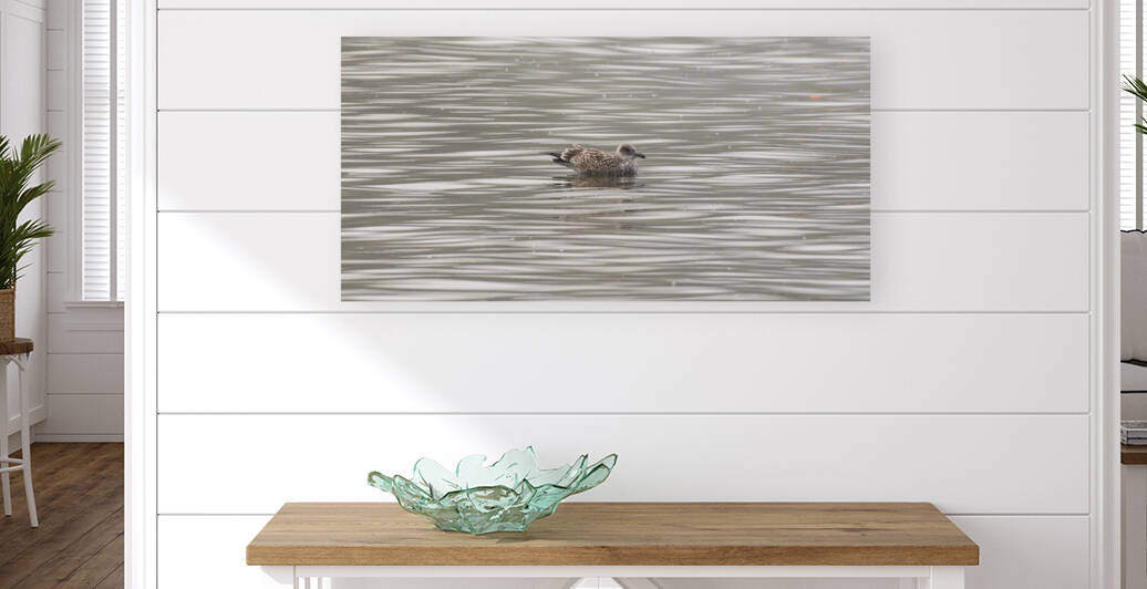 DSC 7928 by Serv Goyal