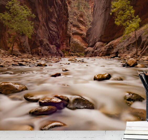  DSC8018 by Serv Goyal