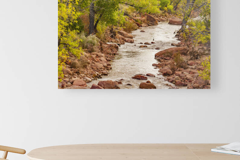  DSC7948 by Serv Goyal