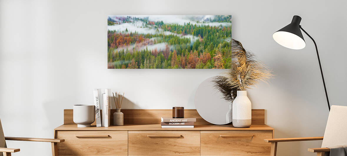 DSC 4206 by Serv Goyal