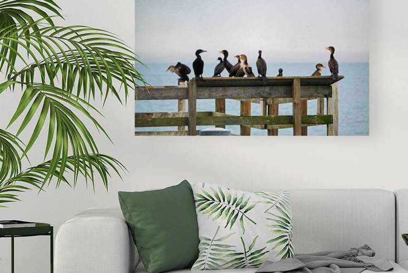 Flight of Cormorants at Apache Pier by Bill Swartwout Photography