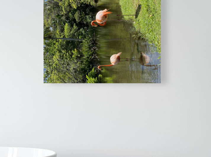 Flamingo in Florida by Sheri Lynn