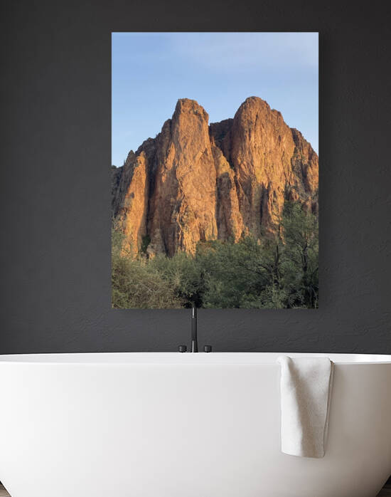 Phoenix Arizona by Sheri Lynn