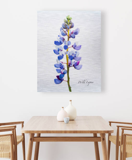 Wild Lupine by Joe Riederer