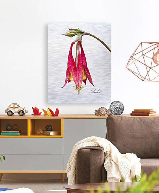 Columbine by Joe Riederer