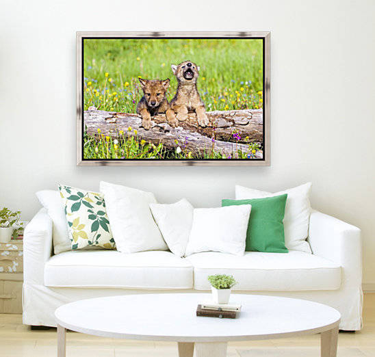 Wolf Cubs On Log by PacificStock