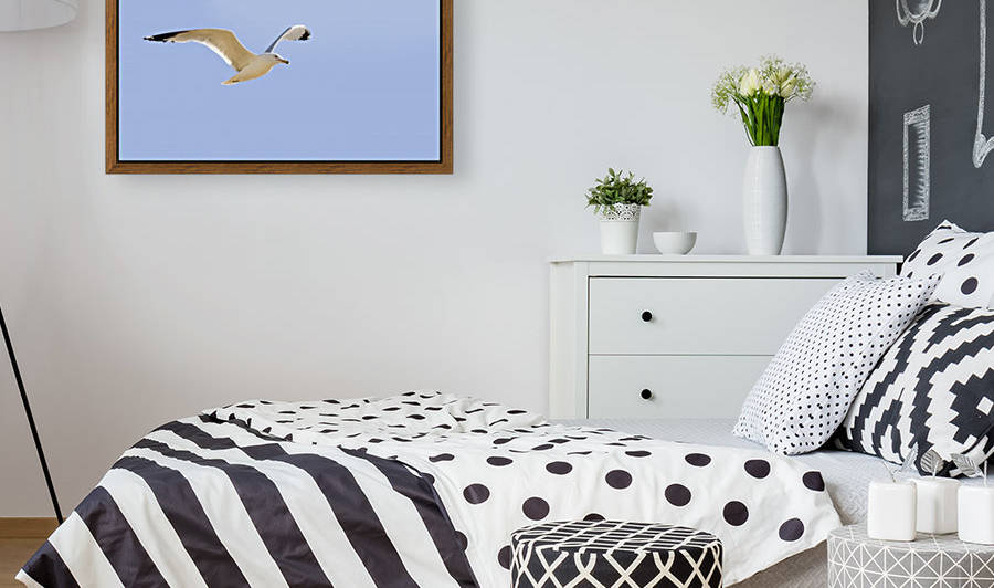 Seagull In Flight by PacificStock