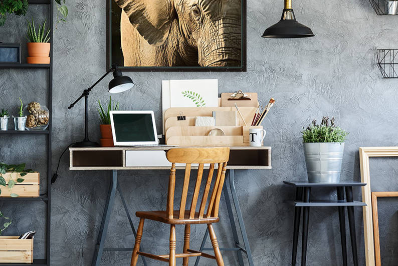 Elephant by PacificStock