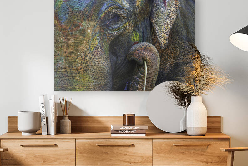 India Pigments149 by Jeremy Horner Images