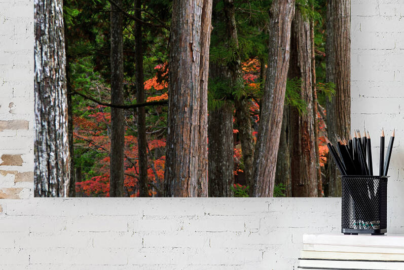 ART of NATURE016 by Jeremy Horner Images